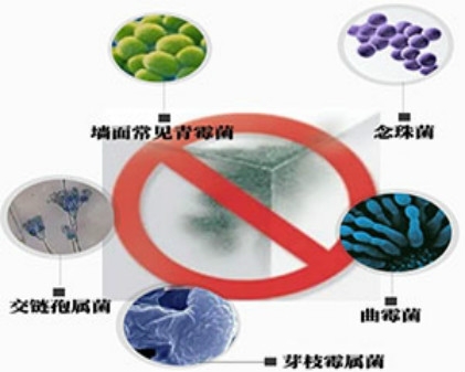 專業(yè)級防霉，跟頑固霉菌說再也不見！